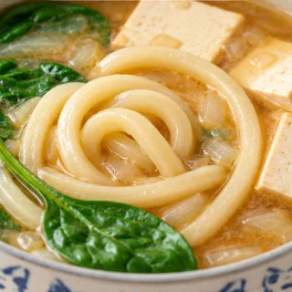Udon Noodle Soup